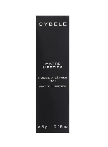 Matte lipstick Brick Red N.317