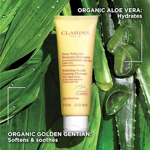 clarins cleanser