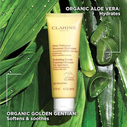 clarins cleanser