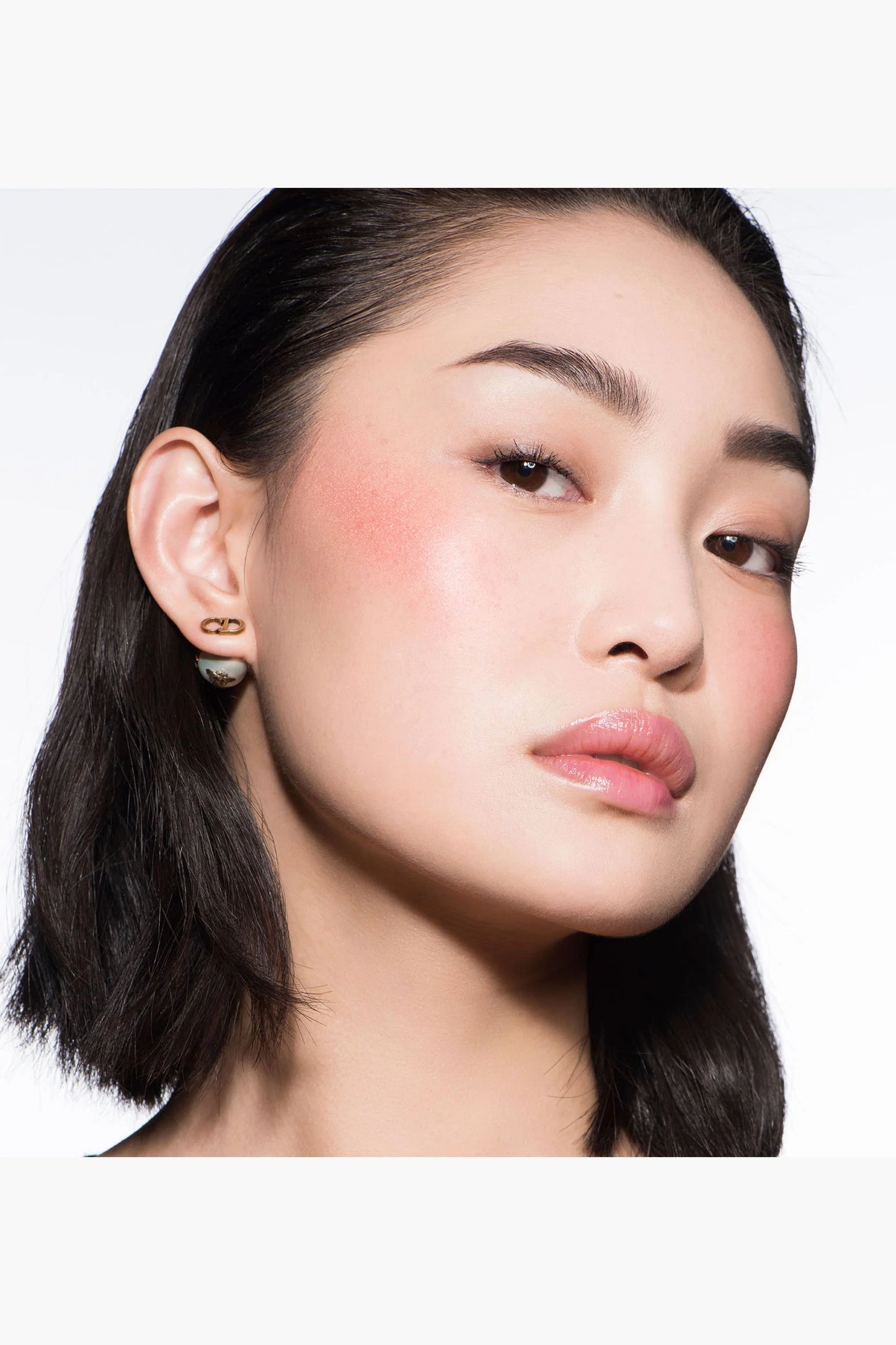 dior rouge blush 219 rose montaigne